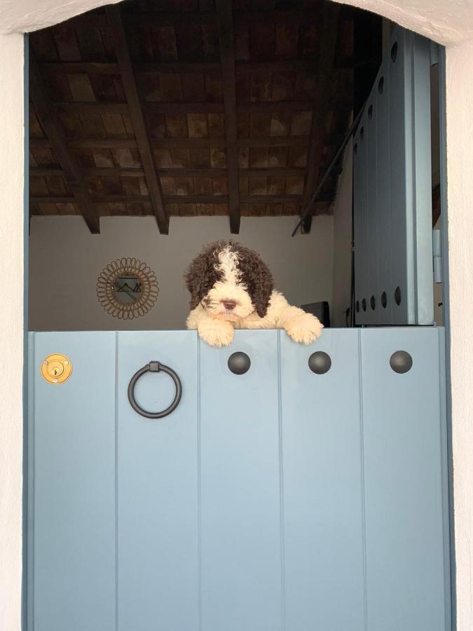 Willa La Puerta Azul Bornos Zewnętrze zdjęcie