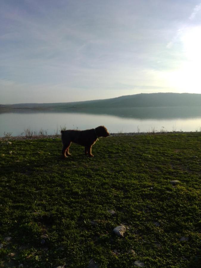Willa La Puerta Azul Bornos Zewnętrze zdjęcie